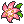 Gracidea