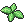 Hasty Mint
