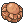 Skull Fossil