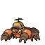 Crustle (Knock Face)