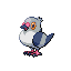 Pidove shiny front sprite