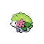 Shaymin