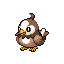 Starly shiny front sprite