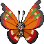 Vivillon (Archipelago Pattern)
