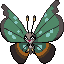Vivillon (Jungle Pattern)