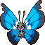 Vivillon (Marine Pattern)