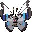 Vivillon (Monsoon Pattern)