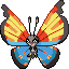 Vivillon (Ocean Pattern)