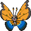 Vivillon (River Pattern)