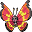 Vivillon (Sun Pattern)