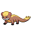 Yungoos front sprite