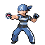 Grunt trainer pic