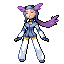 Winona trainer pic